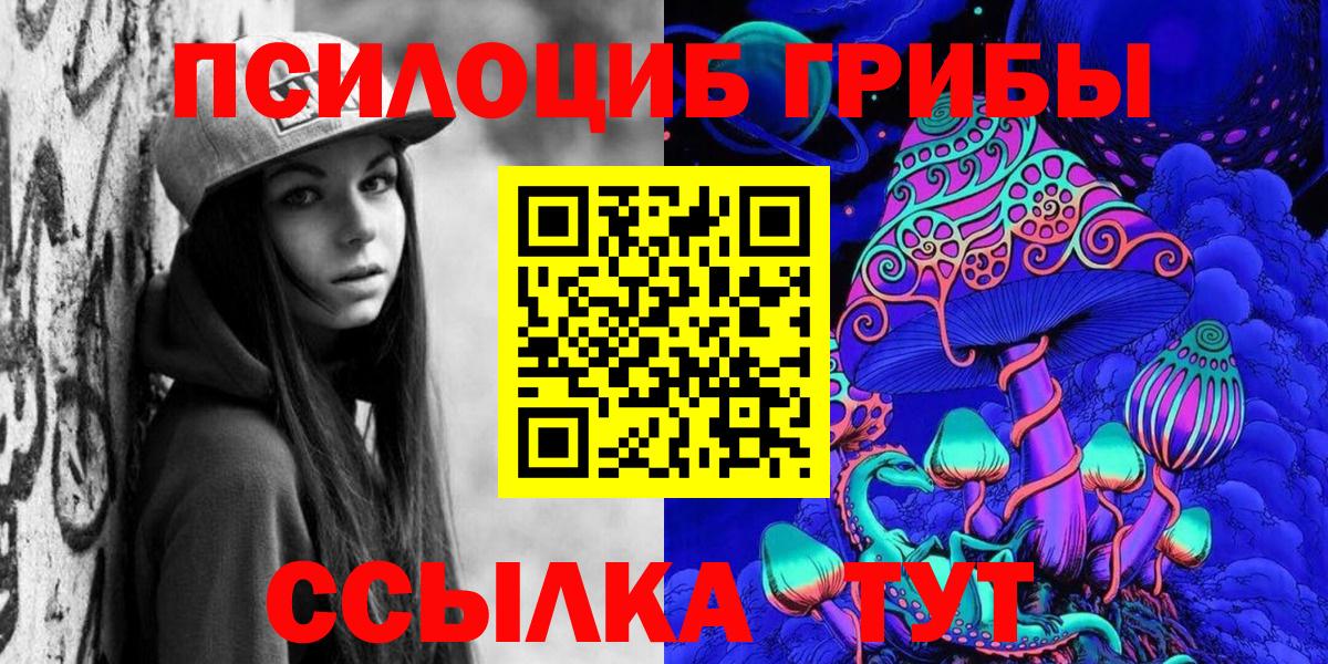 Астрахань  Псилоцибиновые грибы Psilocybe  Вход с VPN 
